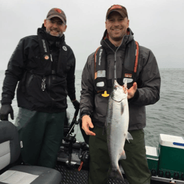 Inshore-Jetty Salmon Fishing