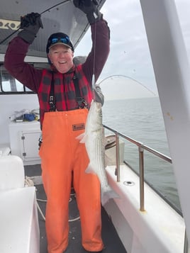 6 hour trip- weekday stripers(am)