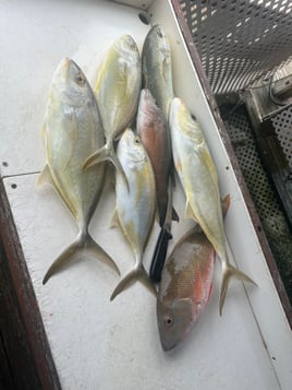 3/4 day inshore trip