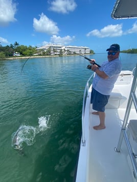 Tarpon Fishing (seasonally)