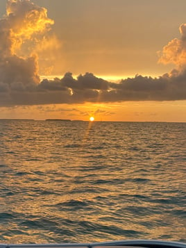 Tarpon Fishing (seasonally)