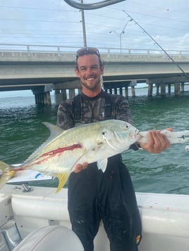 Tarpon Fishing (seasonally)