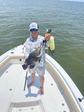 Tripletail Fishing in Destin, Florida