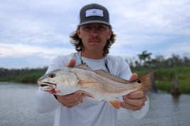 Redfish Fishing in Destin, Florida