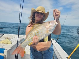 Lane Snapper Fishing in Marco Island, Florida