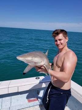 Blacktip Shark Fishing in Marco Island, Florida