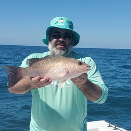 Mangrove Snapper Fishing in Marco Island, Florida