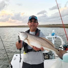 Galveston Bay & Jetty Fishing