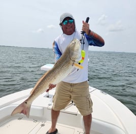 Galveston Bay & Jetty Fishing