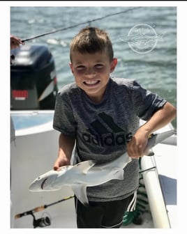 Blacktip Shark Fishing in Hilton Head Island, South Carolina