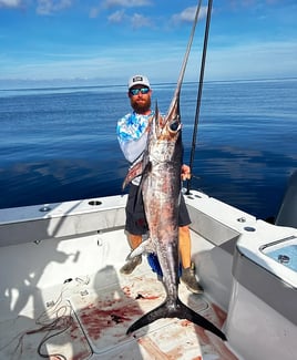 Swordfish Fishing in Chauvin, Louisiana