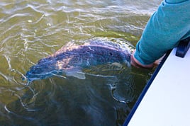 Redfish Fishing in Hampstead, North Carolina