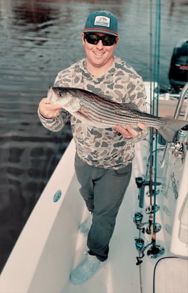 Hybrid Striped Bass Fishing in Hampstead, North Carolina