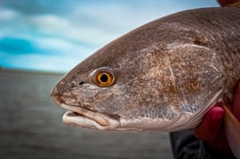 Redfish Fishing in Hampstead, North Carolina