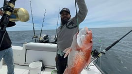 Red Snapper Fishing in Orange Beach, Alabama