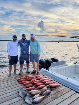 Triggerfish, Vermillion Snapper Fishing in Orange Beach, Alabama