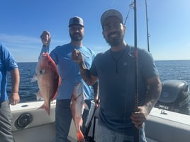 Red Snapper Fishing in Orange Beach, Alabama