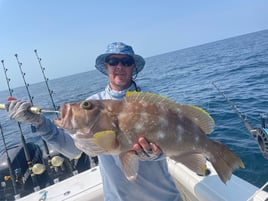 Snowy Grouper Fishing in Orange Beach, Alabama