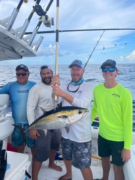 Blackfin Tuna Fishing in Orange Beach, Alabama