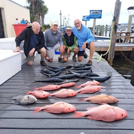 Red Snapper, Triggerfish Fishing in Panama City Beach, Florida