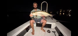 Tarpon Fishing in Tarpon Springs, Florida