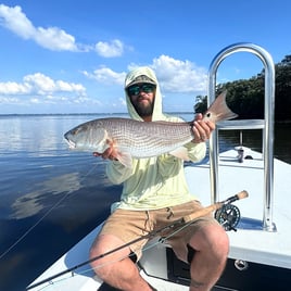 Redfish Fishing in Tarpon Springs, Florida