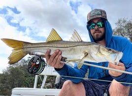 Snook Fishing in Tarpon Springs, Florida