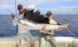 Sailfish Fishing in Key Largo, Florida