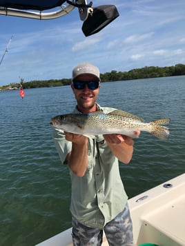 Speckled Trout Fishing in Key Largo, Florida