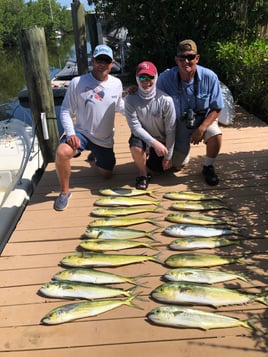 Mahi Mahi Fishing in Key Largo, Florida