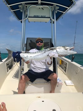 Barracuda Fishing in Key Largo, Florida