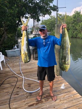 Mahi Mahi Fishing in Key Largo, Florida