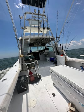 4 Hour Off Shore AM