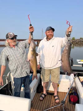 Channel Catfish Sandusky Bay