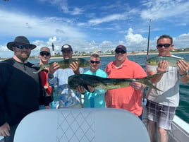 Mahi Mahi Fishing in Pompano Beach, Florida