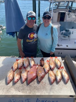 Hogfish, Lane Snapper, Mangrove Snapper Fishing in Clearwater, Florida