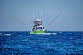 Full day gulf stream "Wasabi"