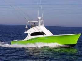 Full day gulf stream "Wasabi"