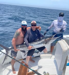 Sailfish Fishing in Cabo San Lucas, Mexico