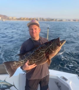 Black Grouper Fishing in Cabo San Lucas, Mexico