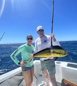 Mahi Mahi Fishing in Cabo San Lucas, Mexico