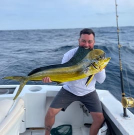 Mahi Mahi Fishing in Cabo San Lucas, Mexico