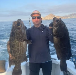 Black Grouper Fishing in Cabo San Lucas, Mexico