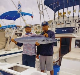 Wahoo Fishing in Cabo San Lucas, Mexico