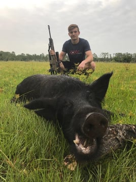 Half day wild boar hunt