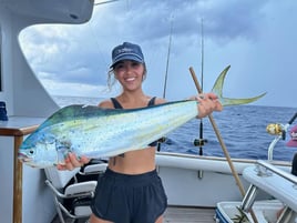 Mahi Mahi Fishing in Key Largo, Florida