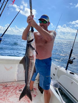 Cobia Fishing in Panama City Beach, Florida