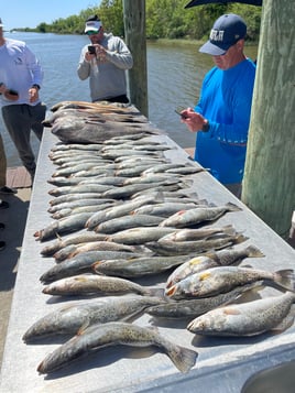 Full Day Inshore