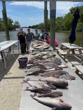 Full Day Inshore