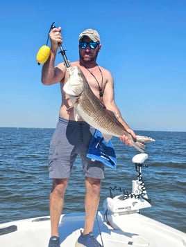 Marsh Redfish Pursuit